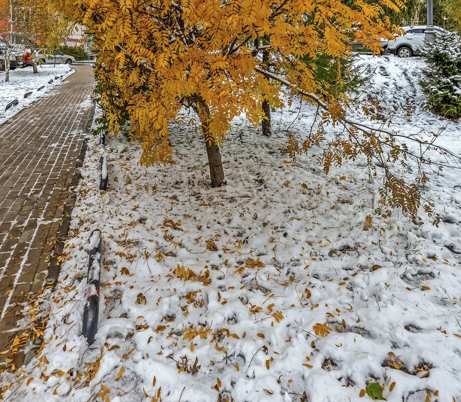 Ноябрь в городе - Валерий Иванович