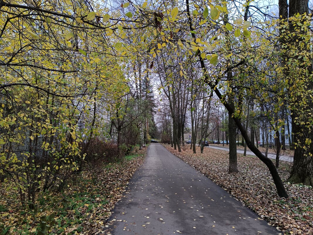 Ноябрь в городе - Мария Васильева