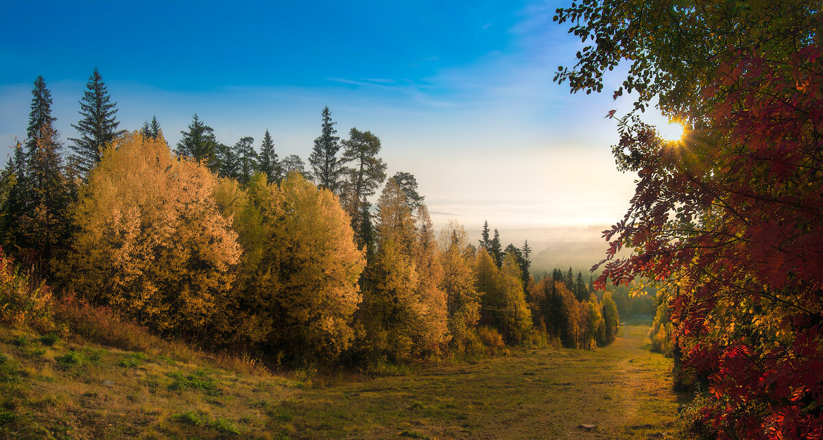 Желтая, красная осень - Vladimbormotov 