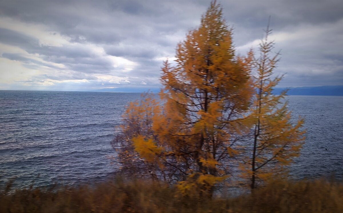 Кругобайкальская железная дорога - Ульяна Северинова Фотограф