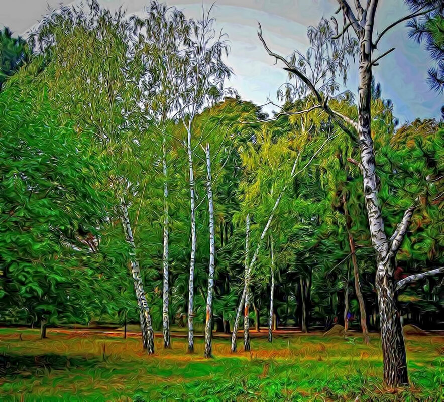 Вы шумите, шумите надо мною, березы... - Александр Корчемный