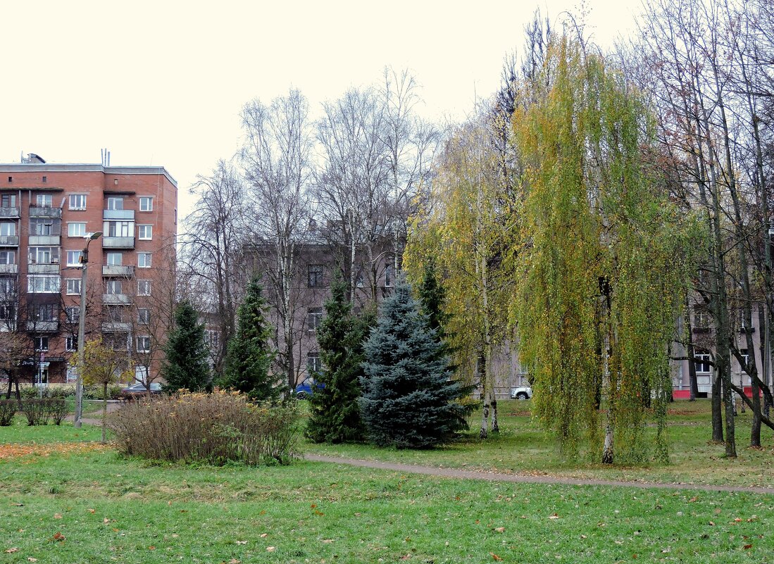 Ноябрь в городе - Мария Васильева