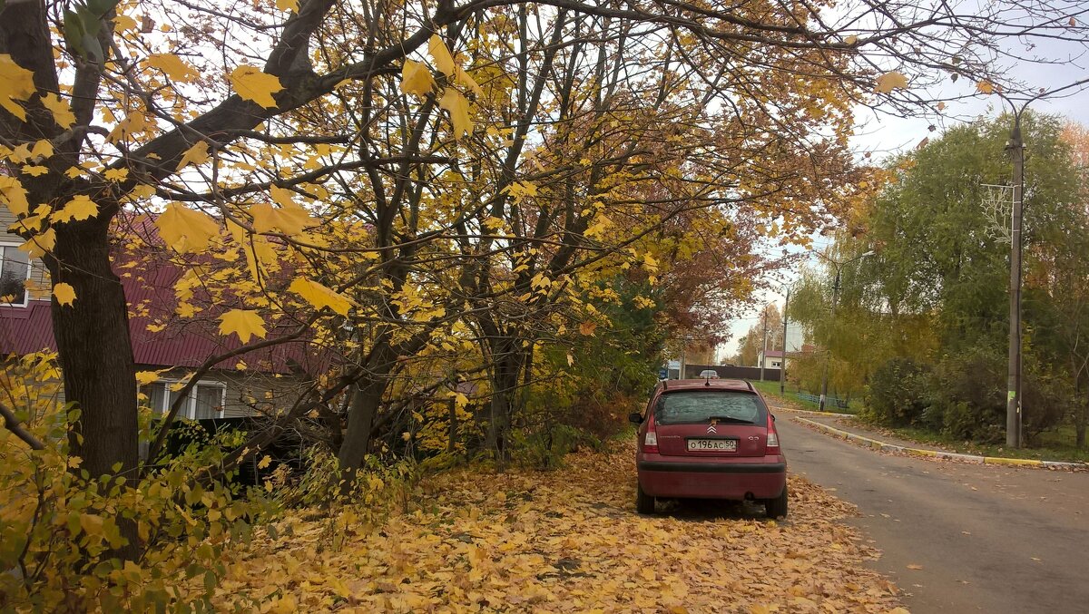 Осенью в с.Заворово - Елена Семигина