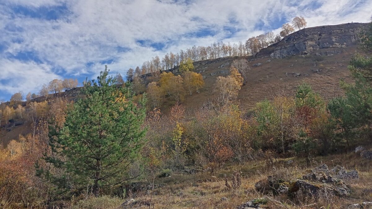 Кисловодск. Берёзовское ущелье - Нина Бутко