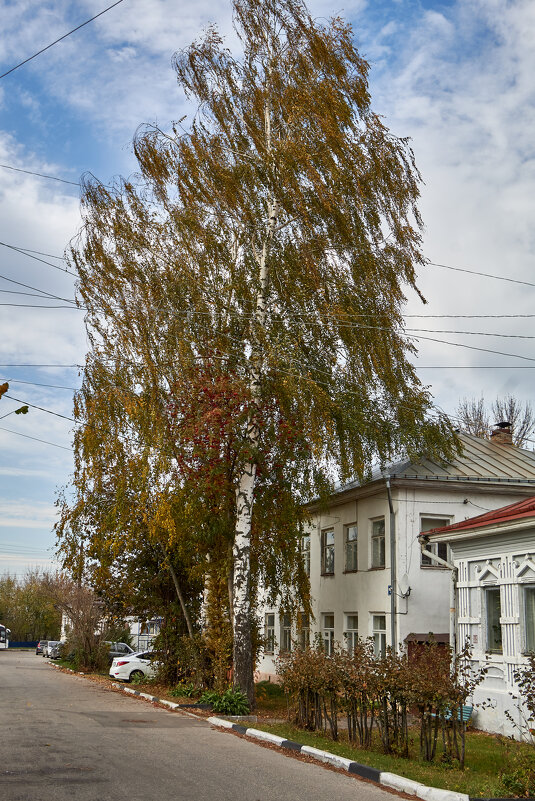 Старые дома в Городце - Алексей Р.