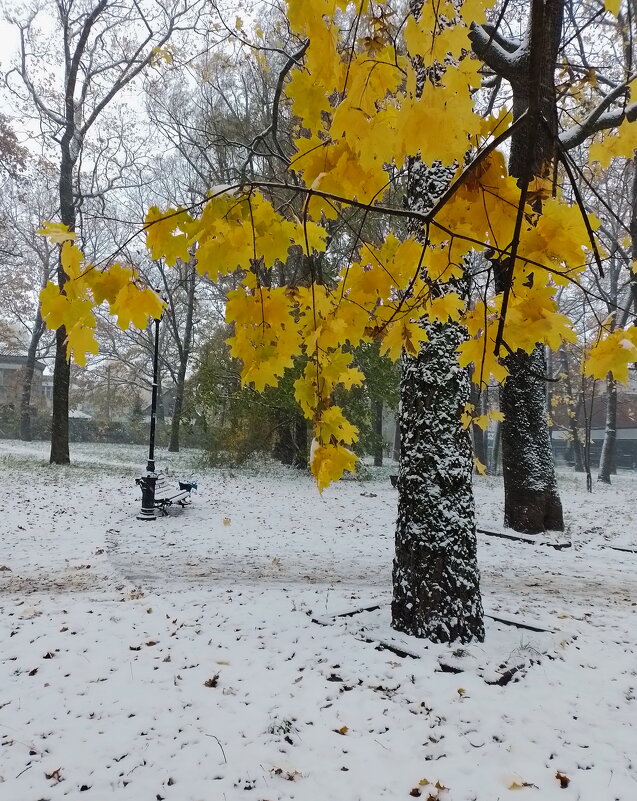 *** - Валентина Береснева