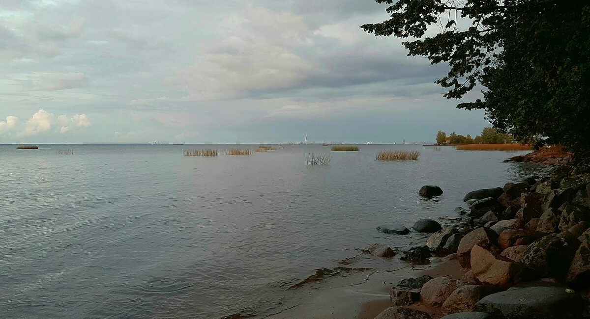 Фотопрогулки по Петергофу - Наталья Герасимова