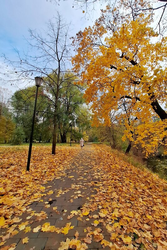 октябрь в парке - Мария Демина