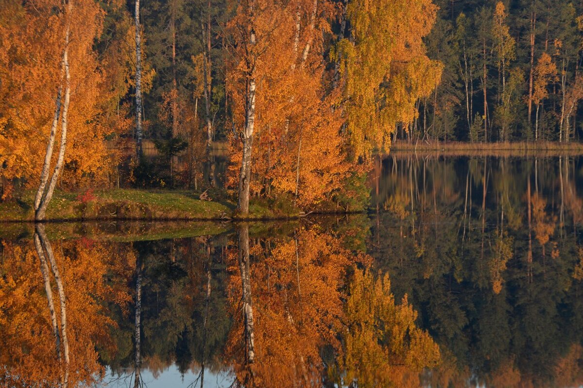 Утром осенним.... - Юрий Цыплятников