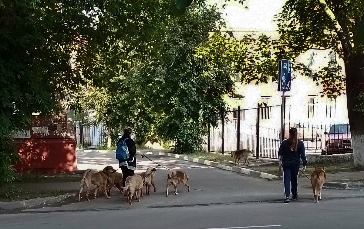 *** - Валентина Береснева