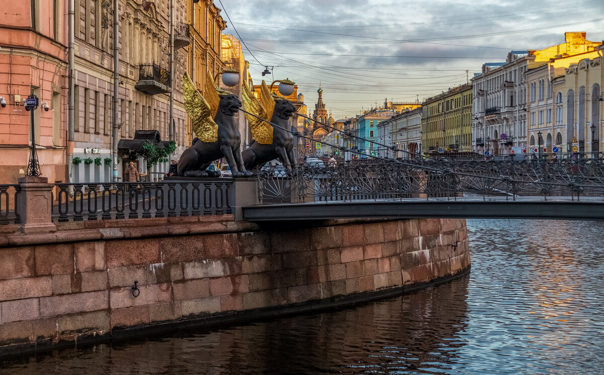 Ноябрь в Санкт-Петербурге 6 - Андрей Дворников