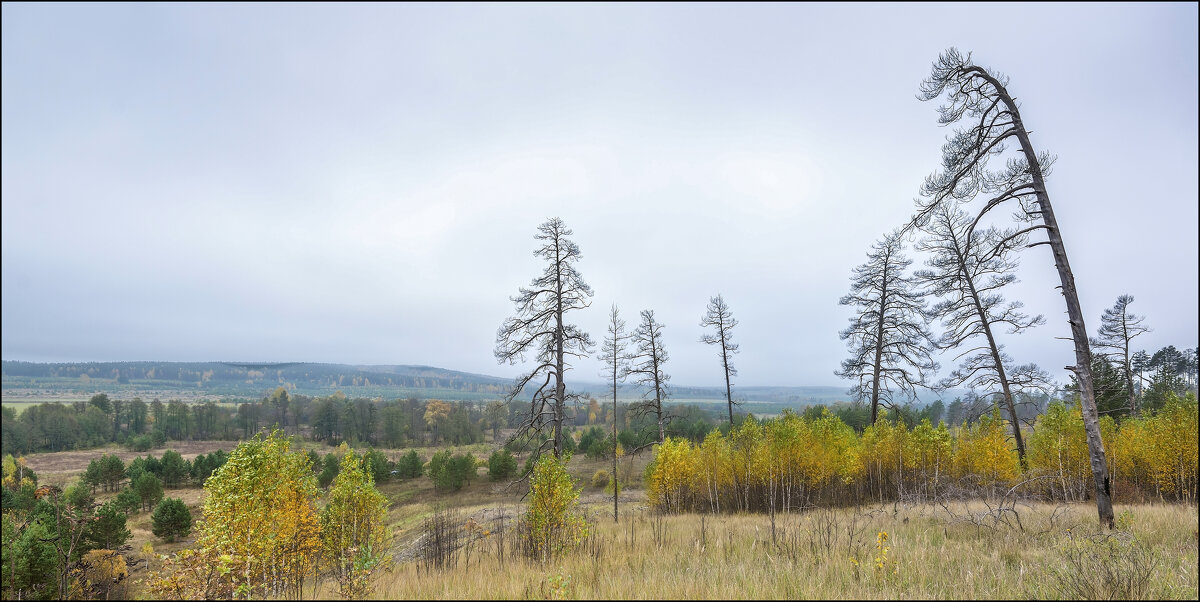 Родной край, осень - **** vedin