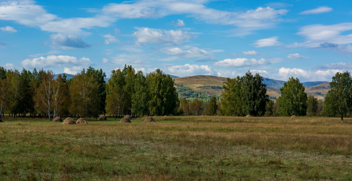 Осень - Петр 