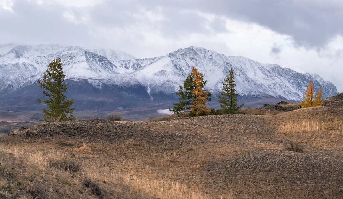 Осень на Алтае - Марина Фомина.