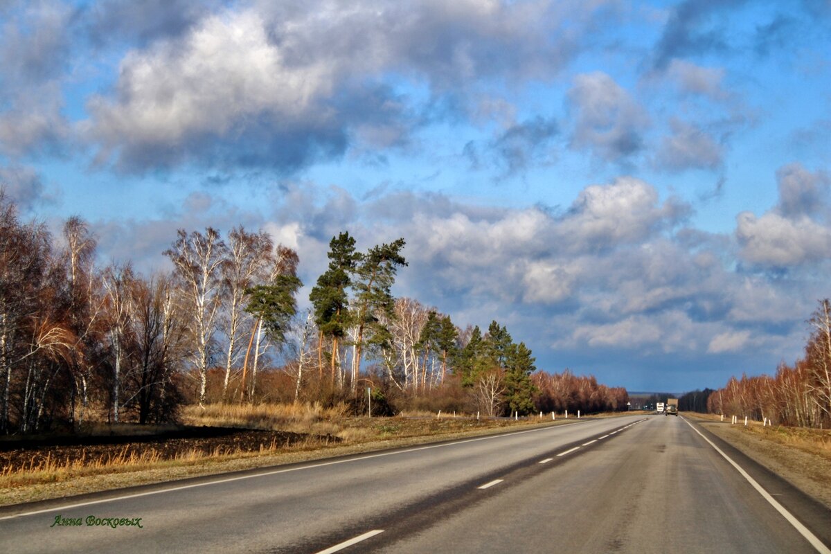 Едем в Борисоглебск. - Восковых Анна Васильевна 