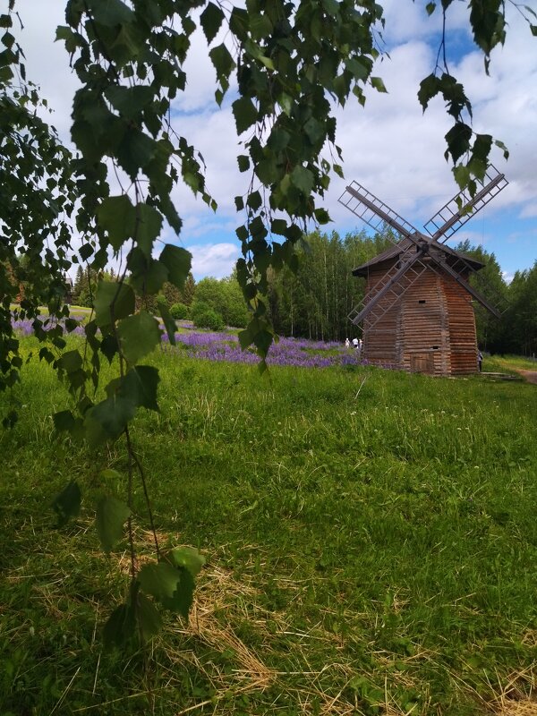 Мельница - Варвара Дудырева