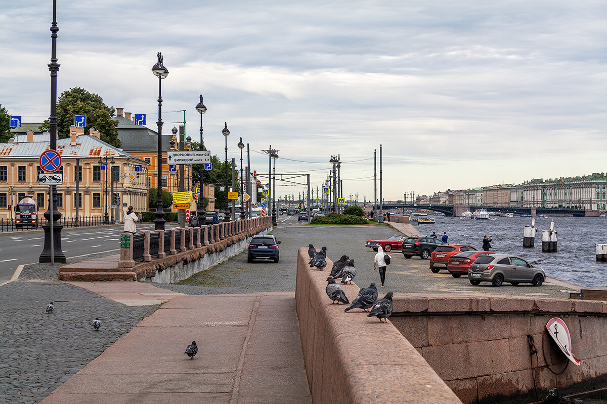 Санкт-Петербург - Дмитрий 