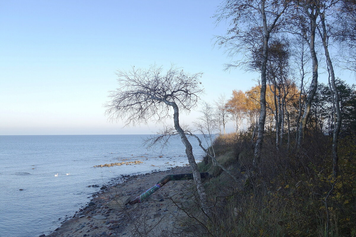 Балтийское море и побережье, Калининградская область - Рита Симонова