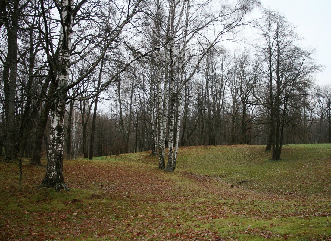 Парк Александрия. Ноябрь - Наталья Герасимова