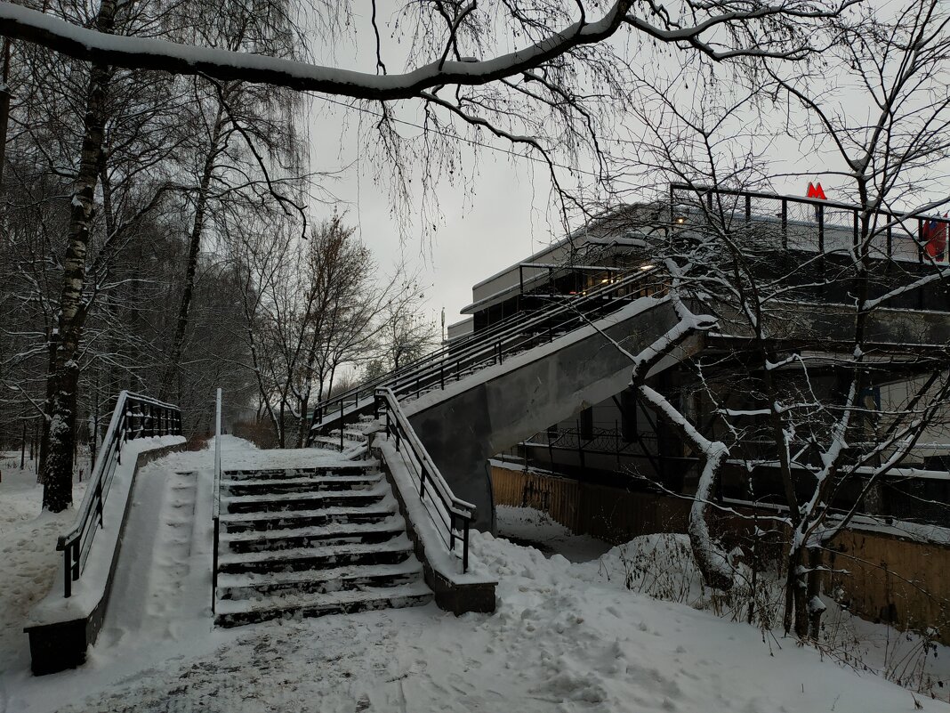 Сезон нецветной фотографии - Андрей Лукьянов