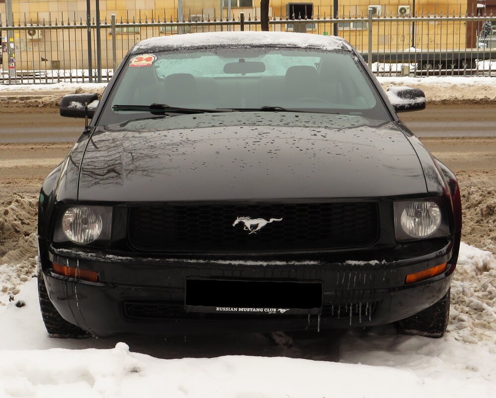 Ford Mustang - Андрей Снегерёв