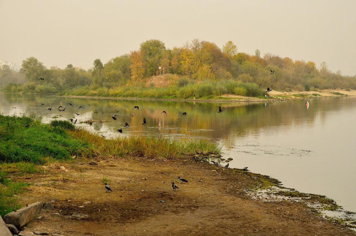 Осень в дымке - Андрей Сосновский