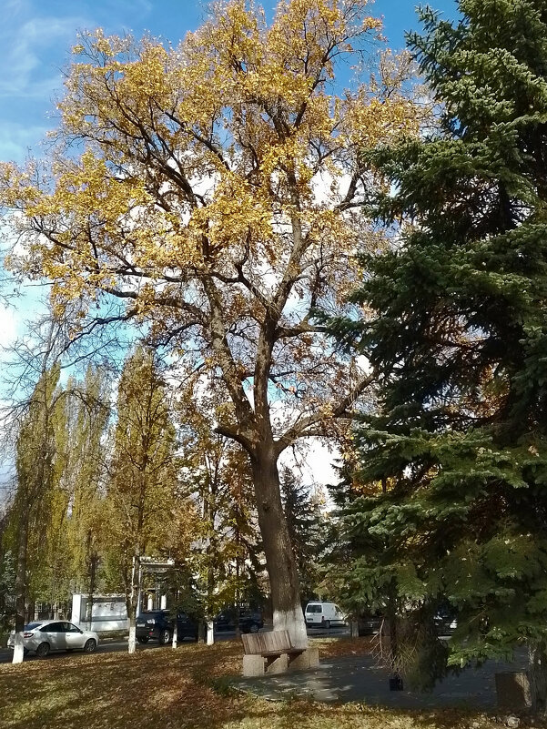 *** - Валентина Береснева