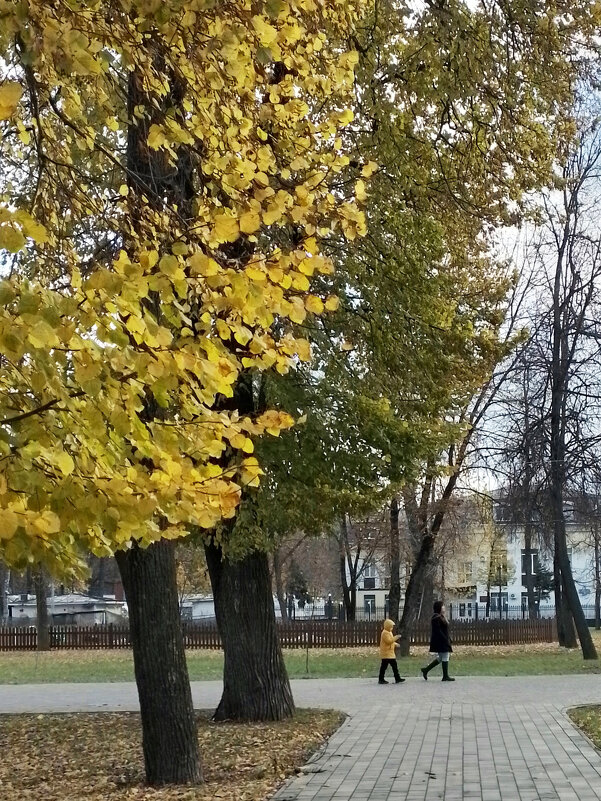 *** - Валентина Береснева