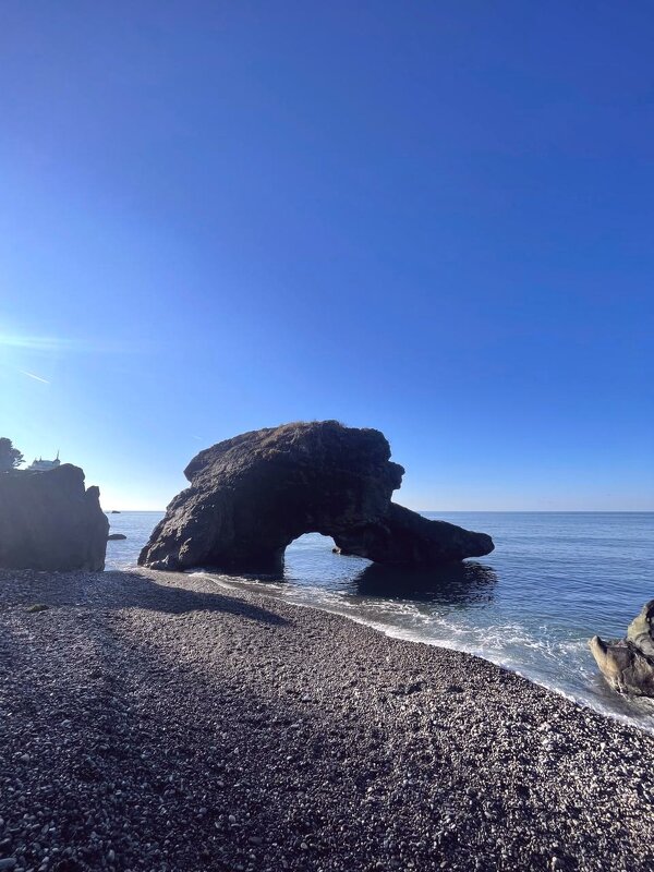 Скалы Черного моря - Георгиевич 