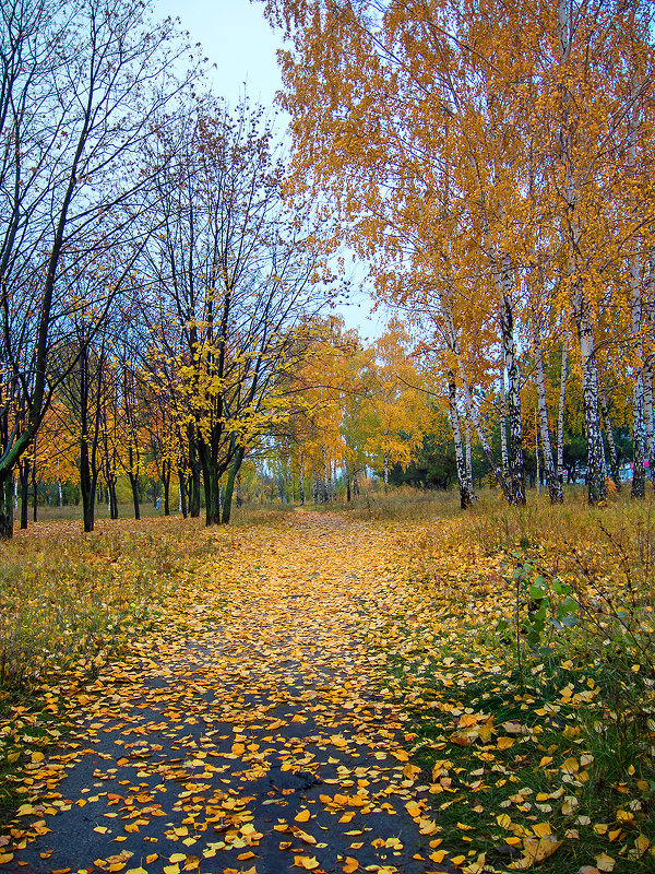 Осень на набережной - Юрий Муханов