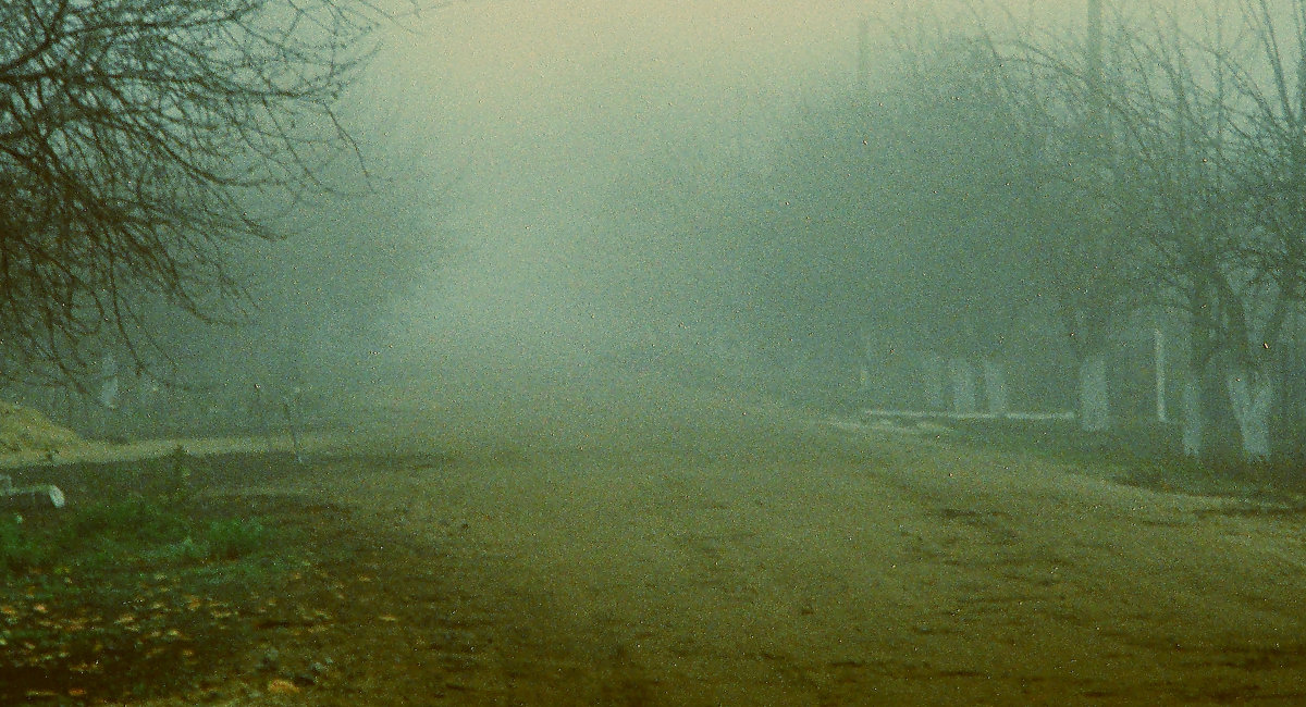 туман - Александр Stepanov