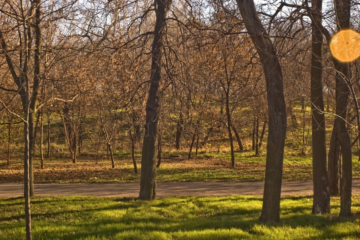 -- - Егор Гребенюк