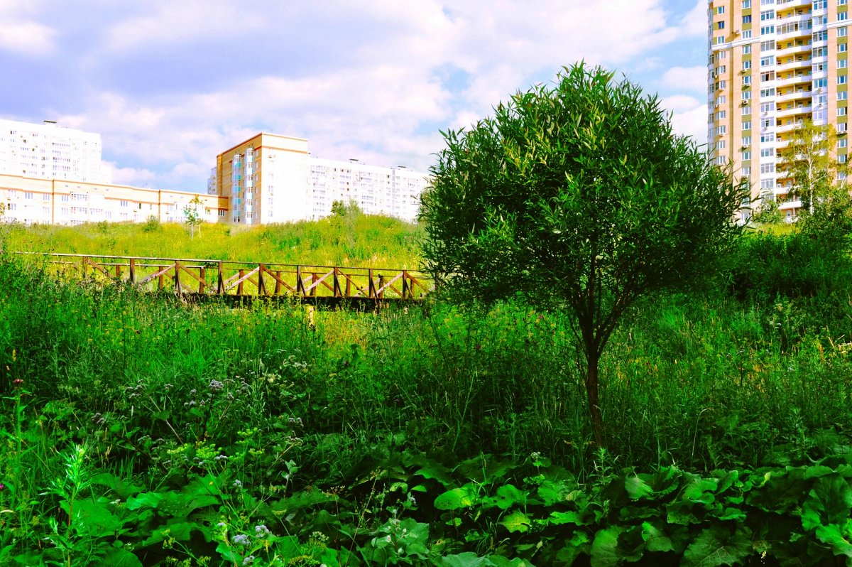 Городское - Евгения Мартынова