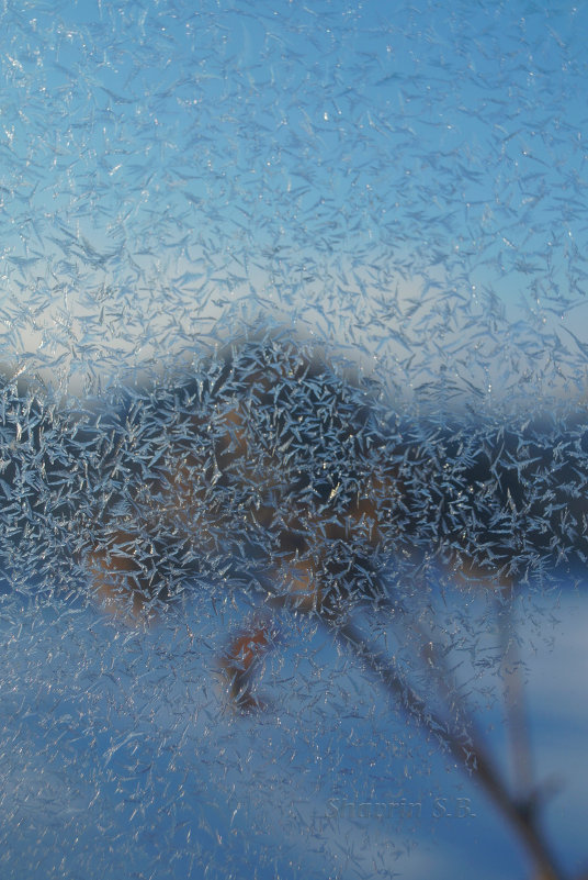 Примороженное окно - Сергей Шаврин