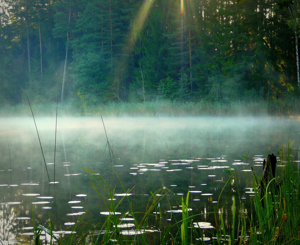 Утро, туман, озеро... - Jelena Volkova