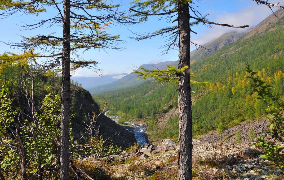 *** - Александр Хаецкий