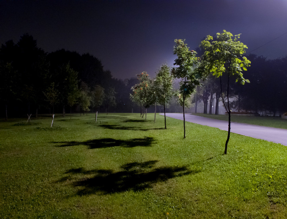 Ночью в парке - Игорь Герман