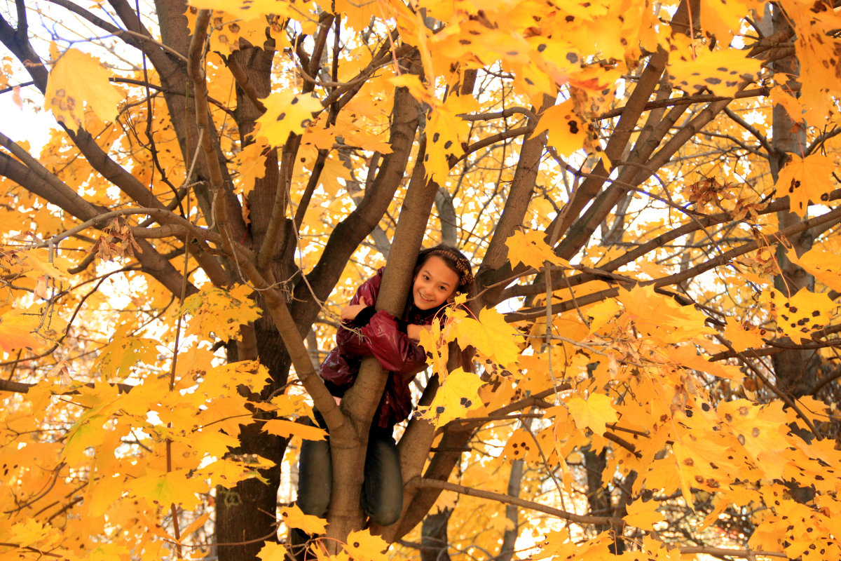 На дереве - Алена 