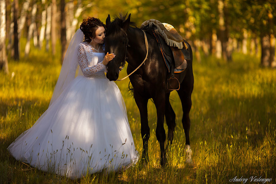 свадьба - Андрей Весленёв