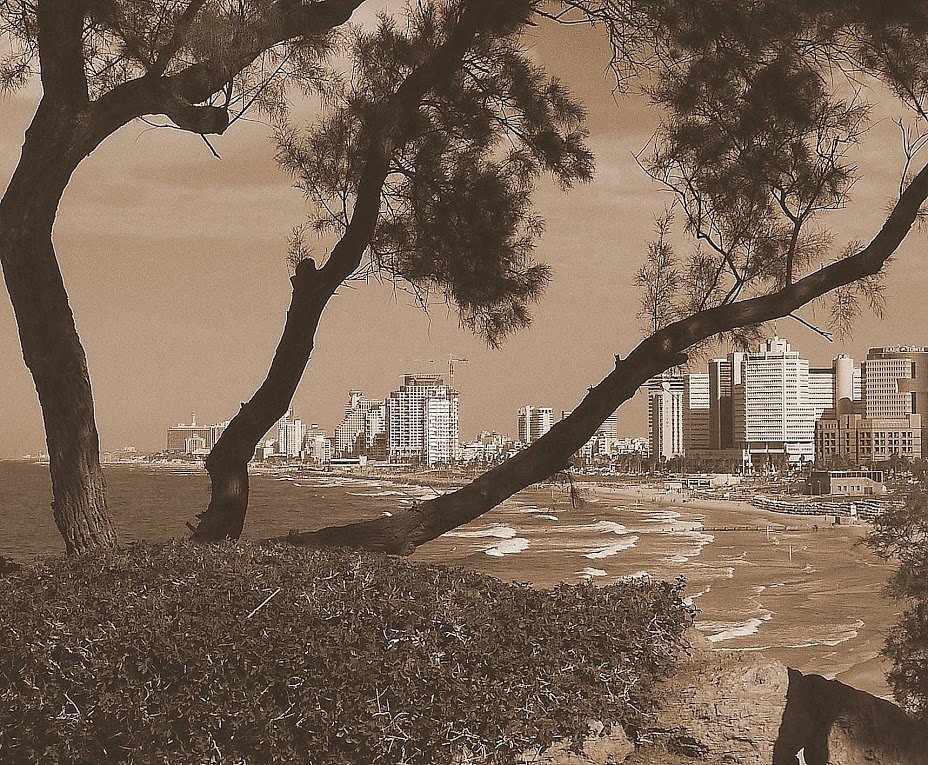 Вид на набережную Тель-Авива - Алла Шапошникова
