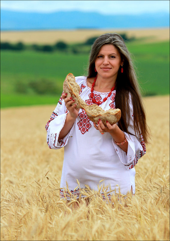 Хлебное место... - Сергей Данила