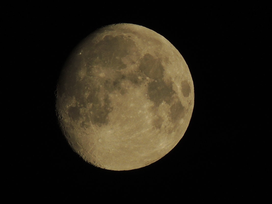 Луна - ФотоКот  