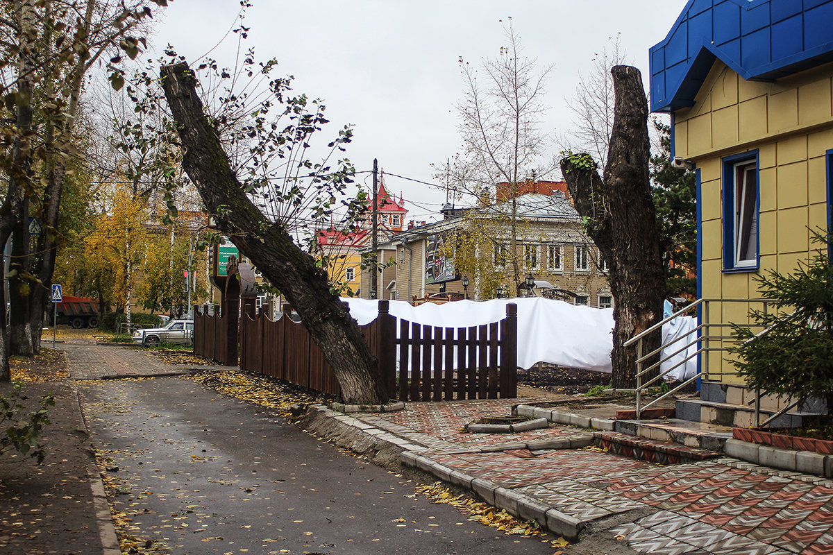 ТОМСК  ДЕРЕВЯННЫЙ - михаил пасеков