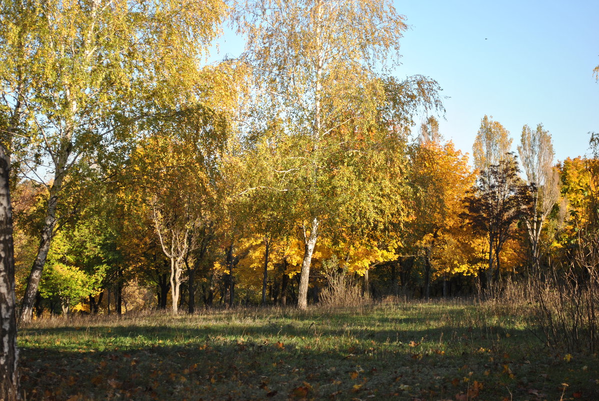 Осенний пейзаж - Светлана Гугис