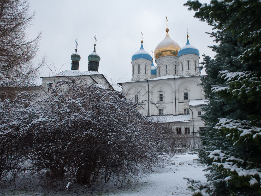Новоспасский монастырь - Sergey Samoylov