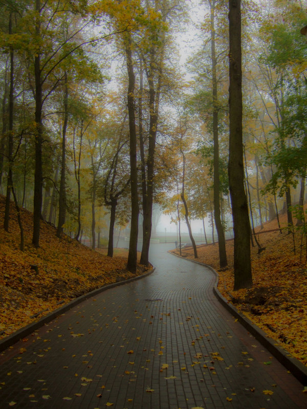Путь в туман - Виктор Позняков