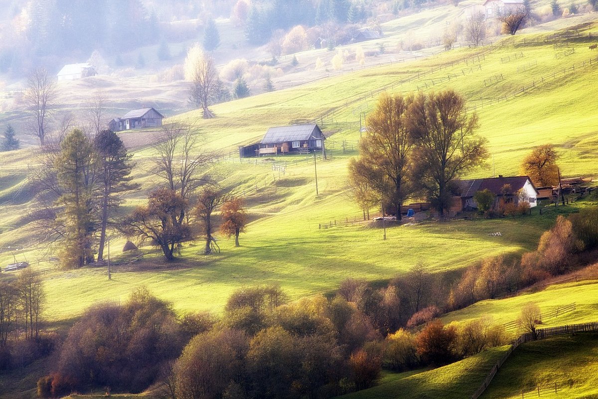 dream of Carpathians - Андрій Кізима