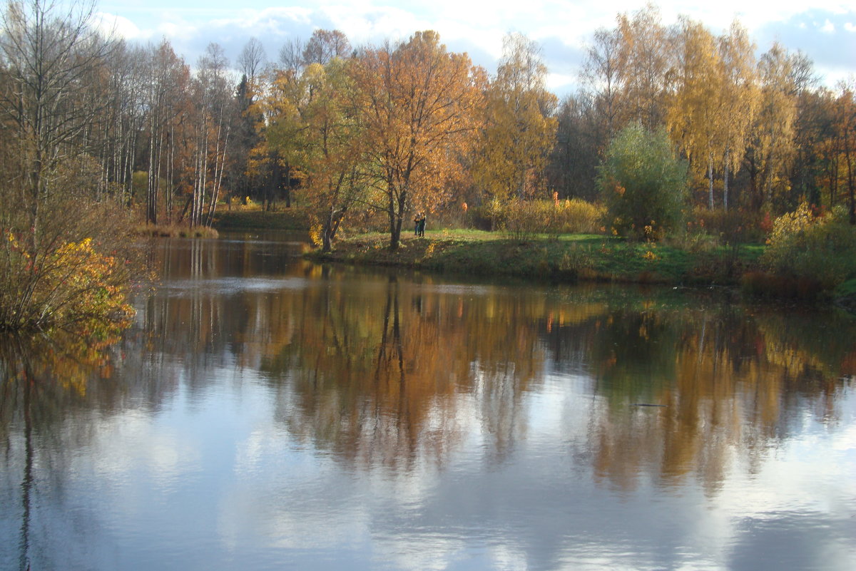 Осень - Светлана Шарафутдинова