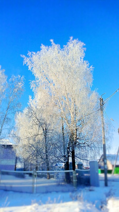 первые заморозки - Ренат Ахметов