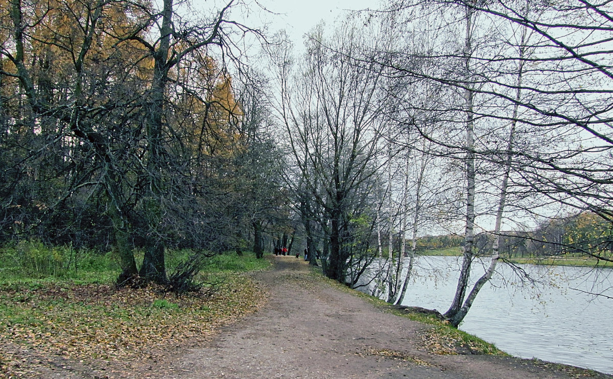 Аллея у пруда - Сергей Мягченков